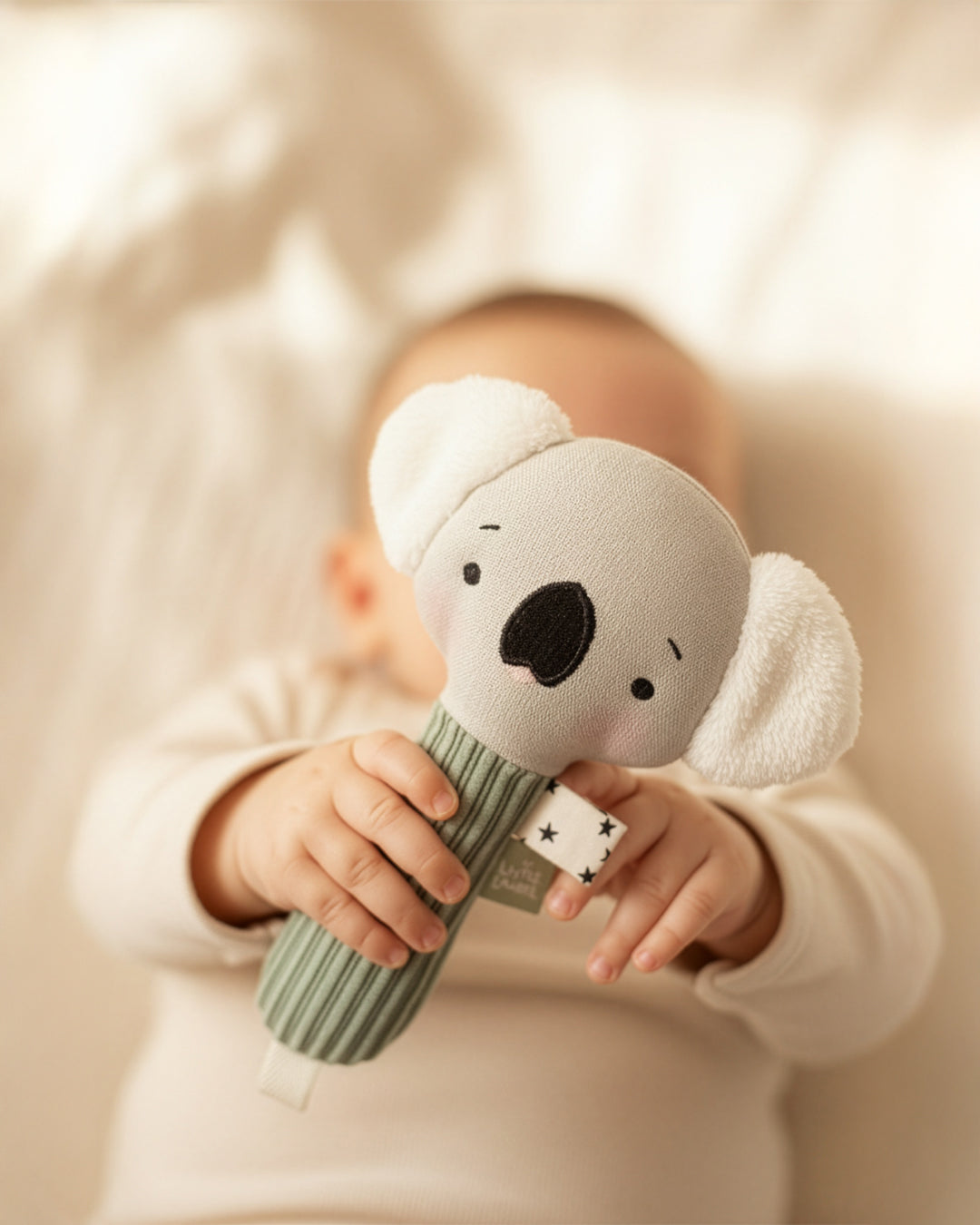 Baby Maraca - Arlo, Koala