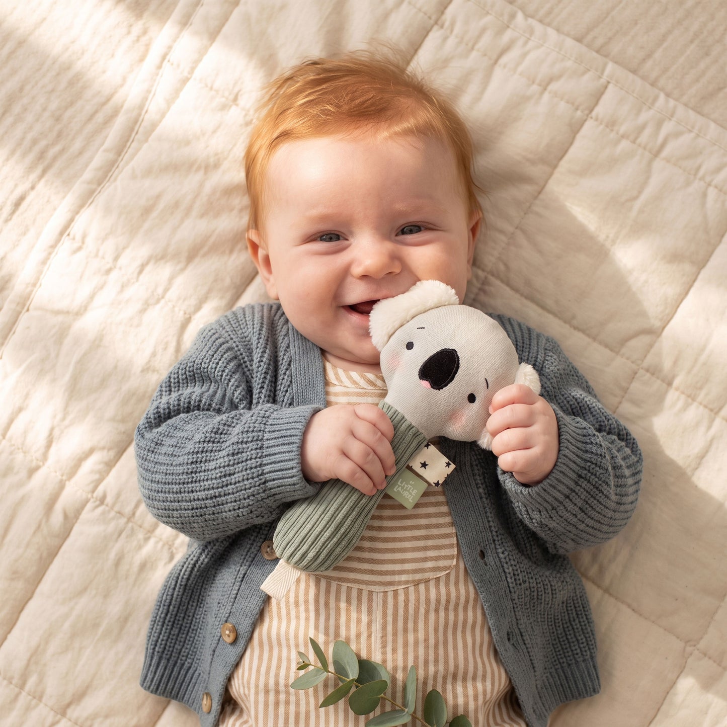 Baby Maraca – Arlo, Koala
